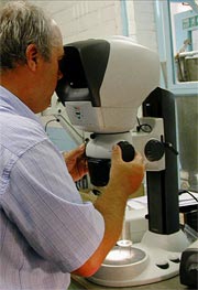man at Moores Glassworks using a Lynx eyepiice-less microscope