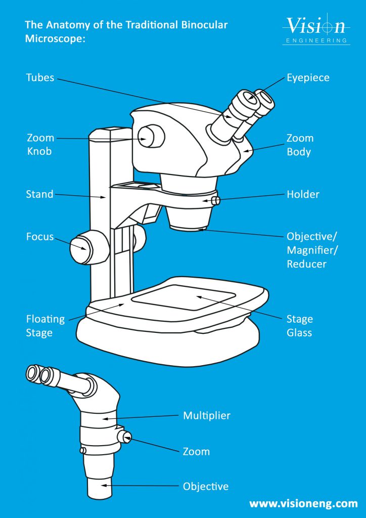The-Anatomy-of-the-Microscope2480x3508-scaled-1-724x1024