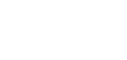 Vision Engineering ロゴ