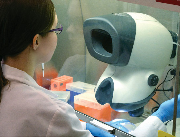 Woman with glasses using Mantis microscope inside laminar flow cabinet