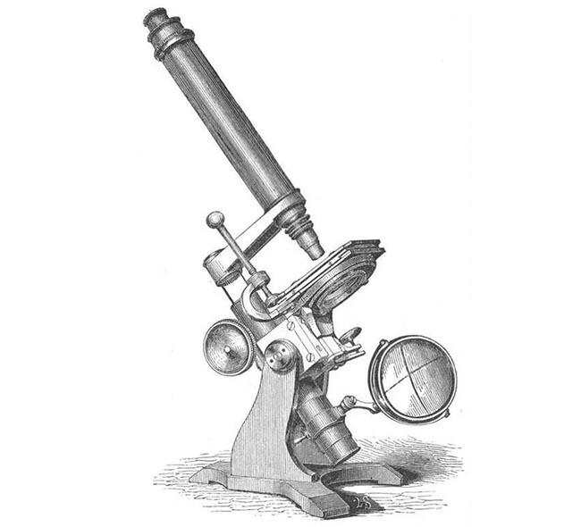 History-of-the-microscope