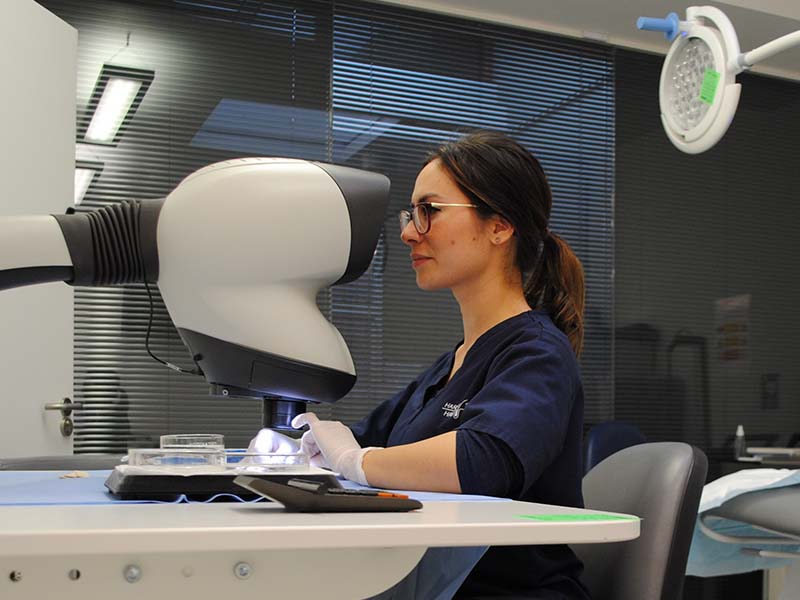 Woman using Mantis stereo microscope for hair follicle separation