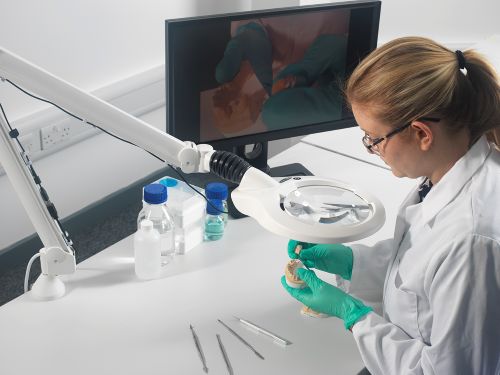 Dental technician using Vision LUXO bench magnifier