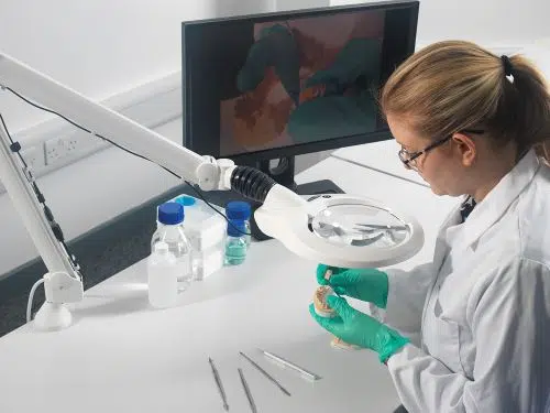 LUXO_Dental_AB V19 353-500×375 Dental technician using Vision LUXO bench magnifier